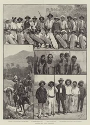 Sketches from North Queensland